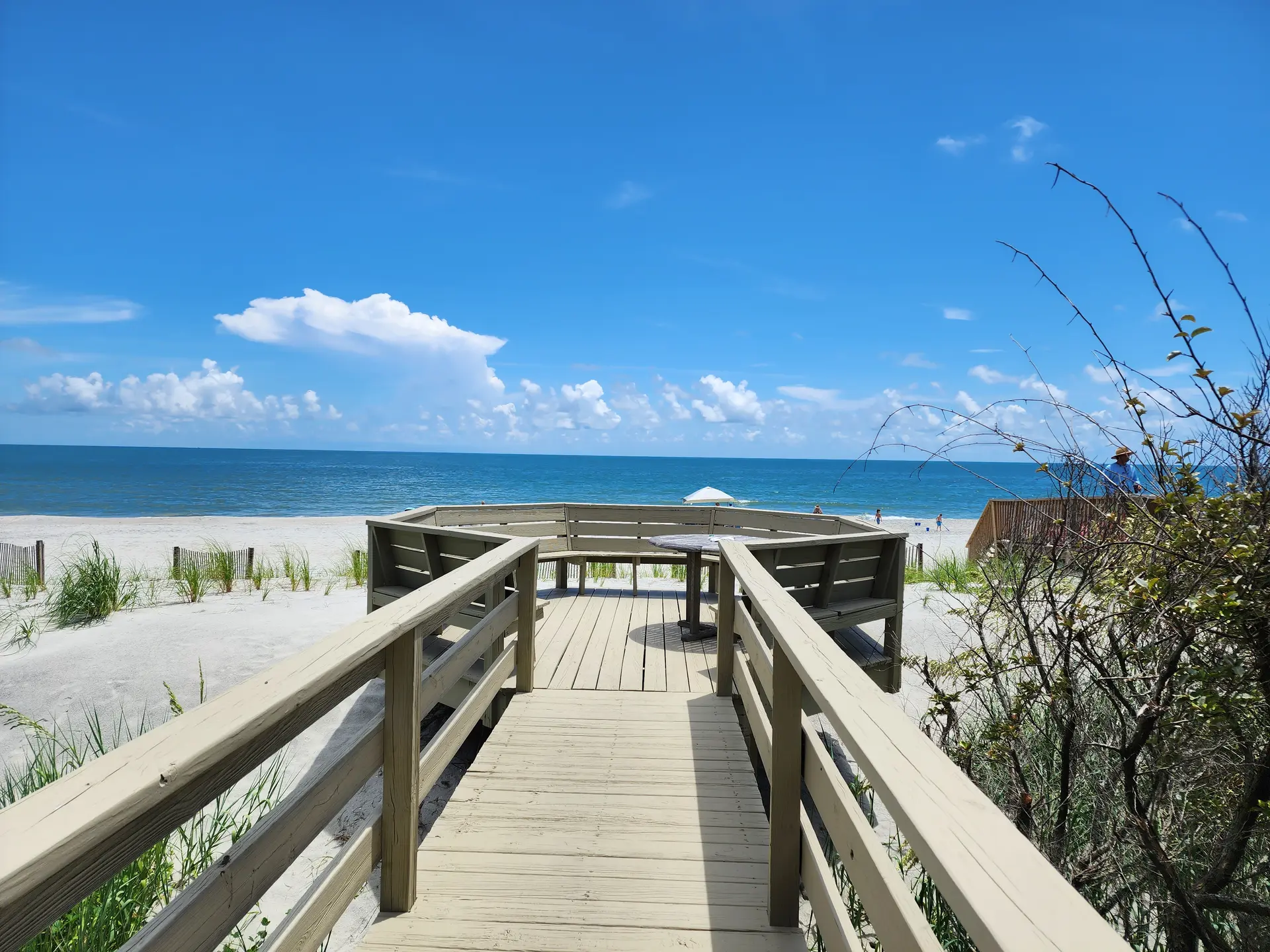 Search Annual Rentals callout