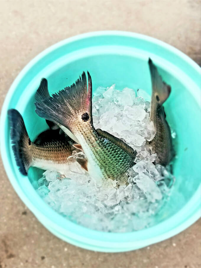 Local Area Information