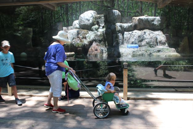 Thing To Do Attractions