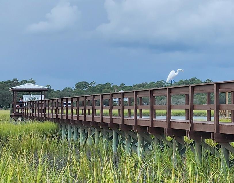 Litchfield Beach Sc Things to do fall