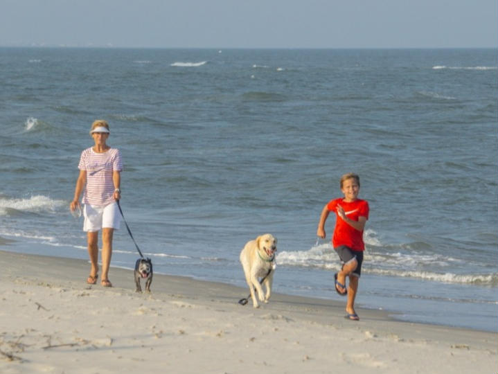 Litchfield Vacation Rentals