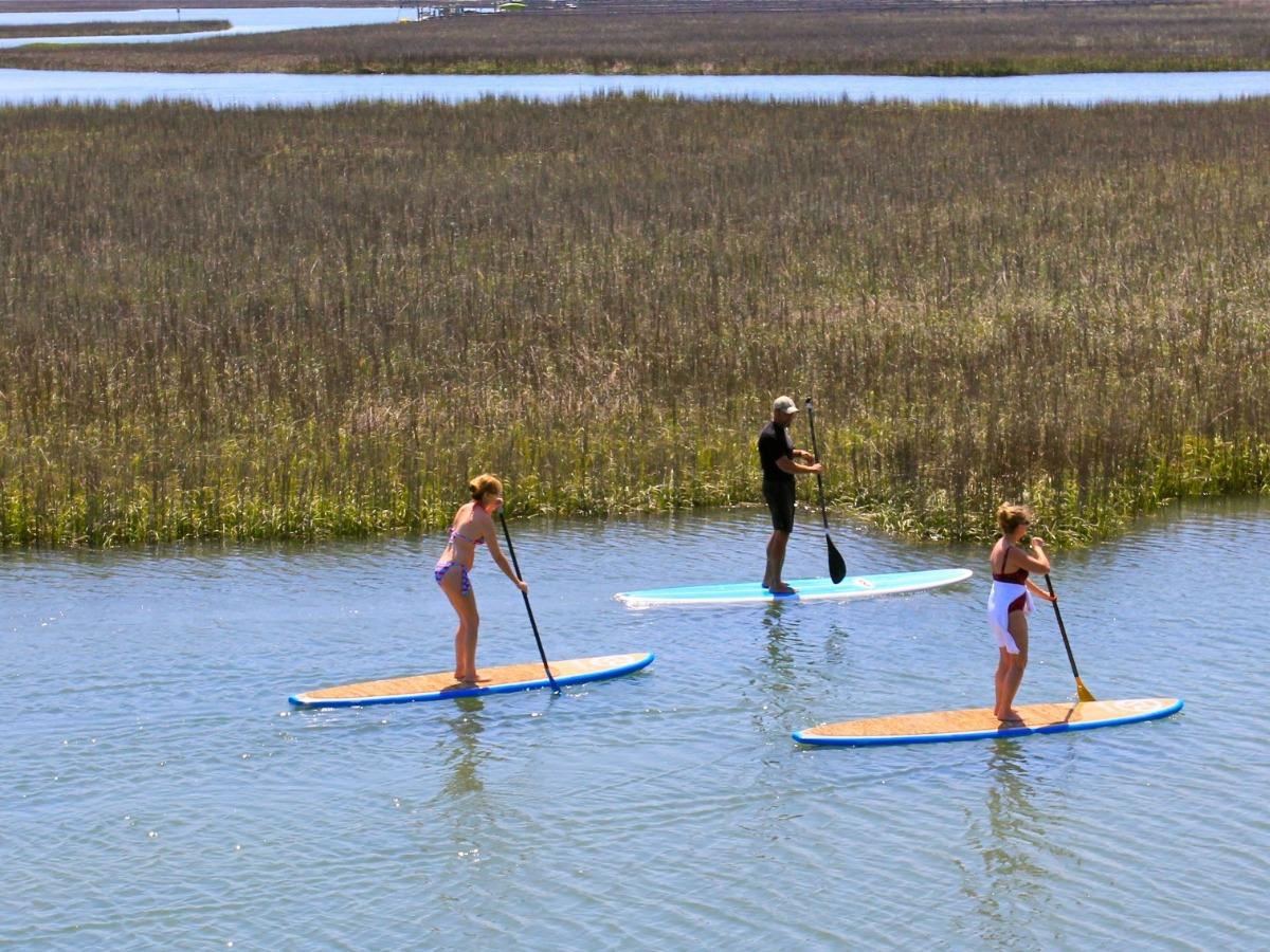 paddle board rentals pawleys island sc